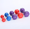 Manubri fitness colorati